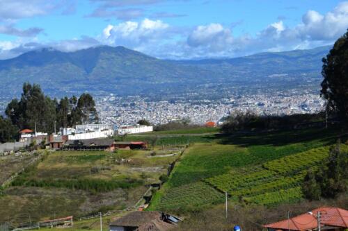 Sembrios de tos tipo