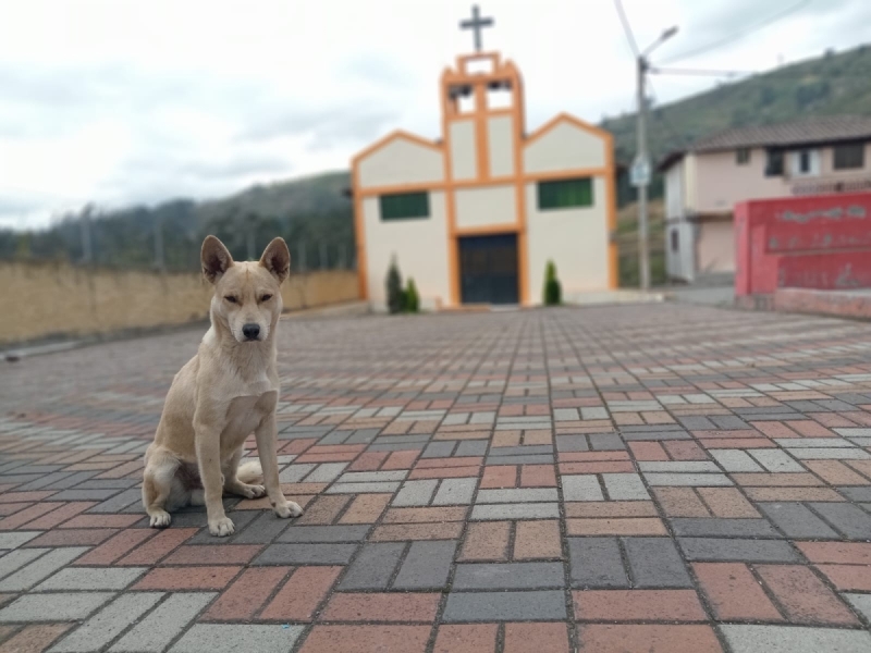 Hospitalidad para todos los visitantes