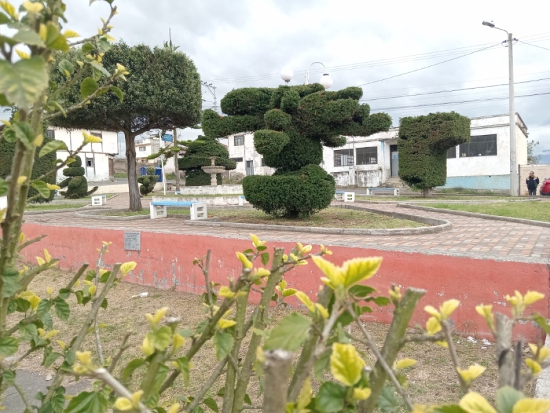 Naturaleza por doquier