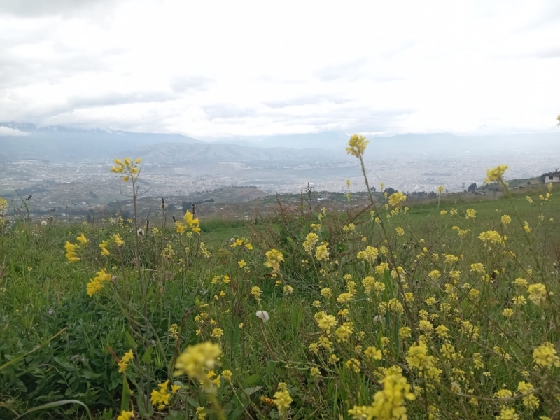 Tranquilidad y aire puro