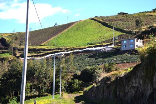 Producción de Fresas